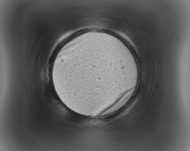 X0000083030974200703022022