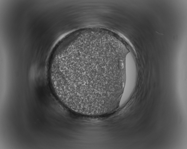 X0000083030975200703022022