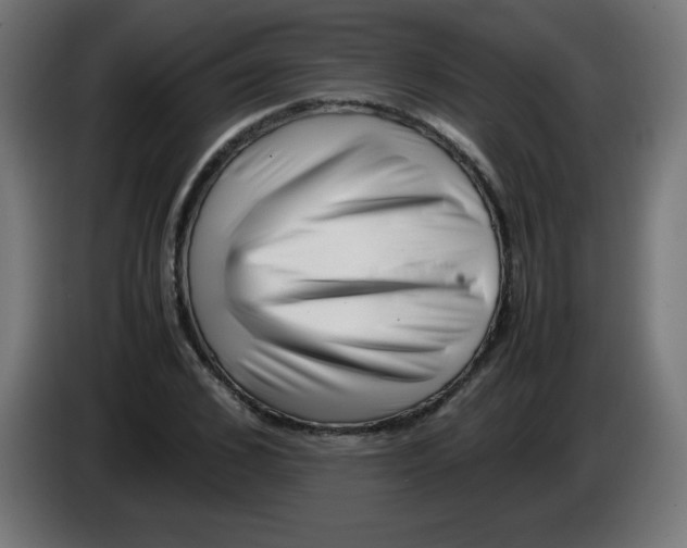 X0000083030976200703022022