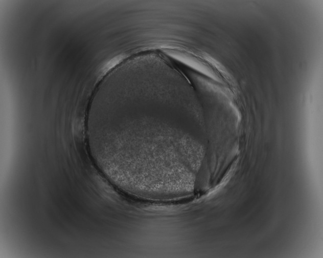 X0000083030977200703022022