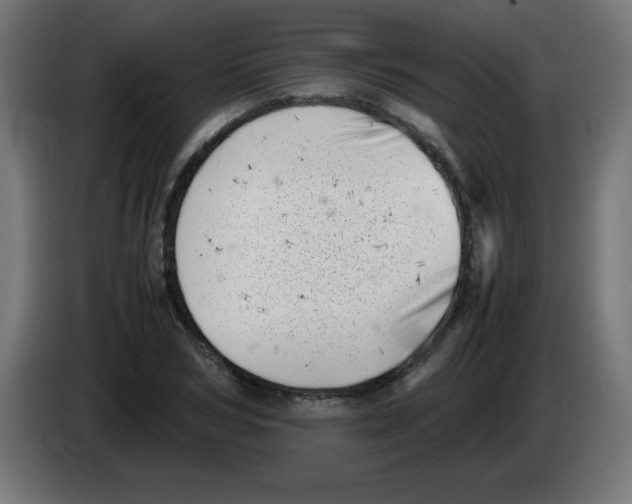 X0000083030978200703022022