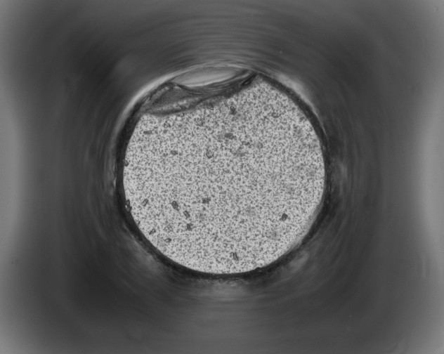 X0000083030979200703022022