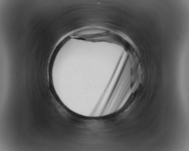 X0000083030980200703022022