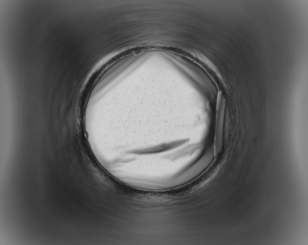 X0000083030981200703022022