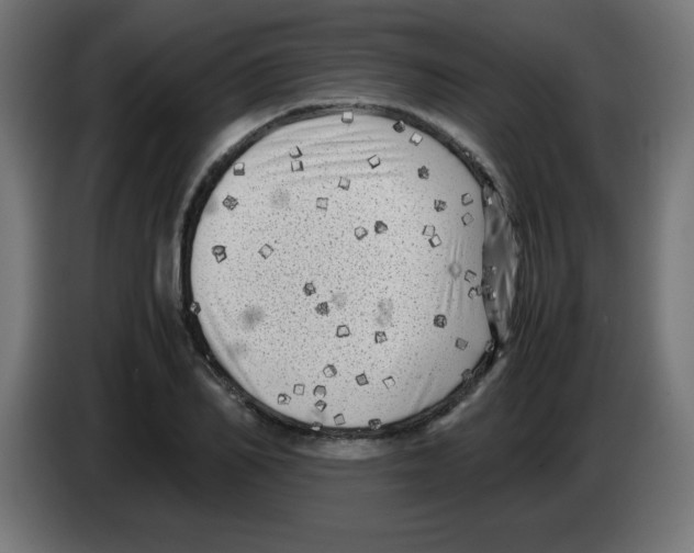 X0000083030982200703022022