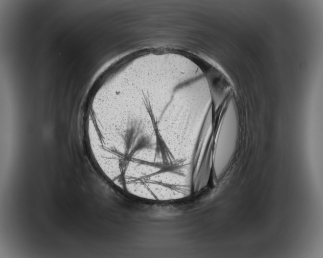 X0000083030983200703022022