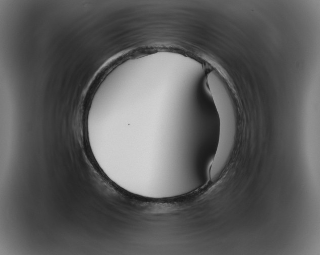 X0000083030984200703022022