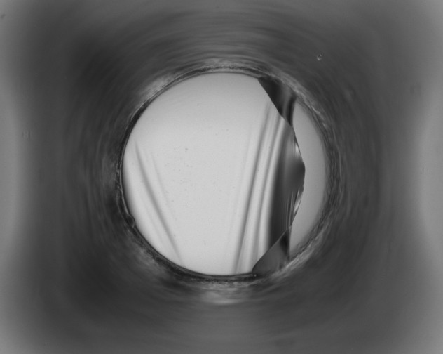 X0000083030985200703022022