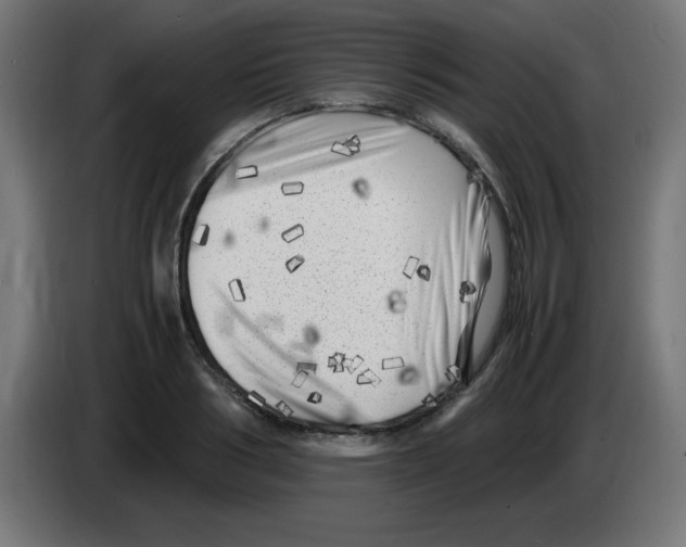 X0000083030986200703022022