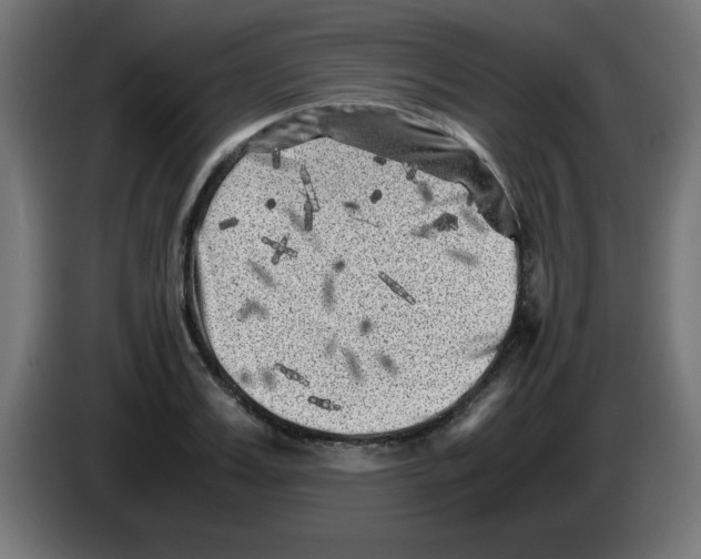 X0000083030987200703022022