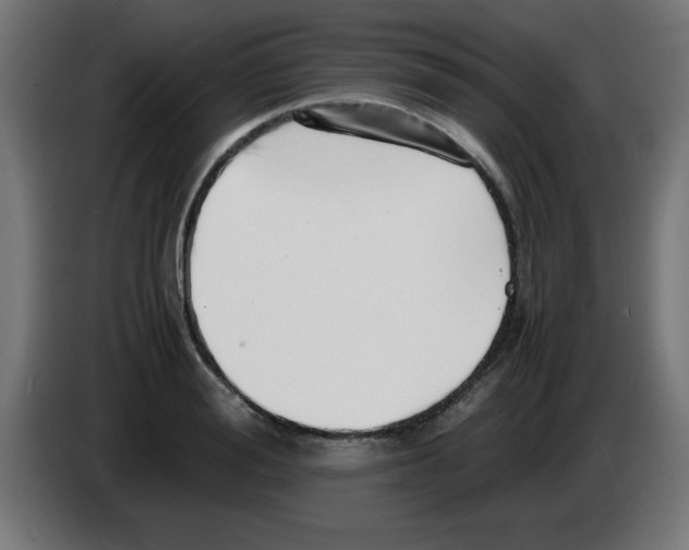 X0000083030988200703022022