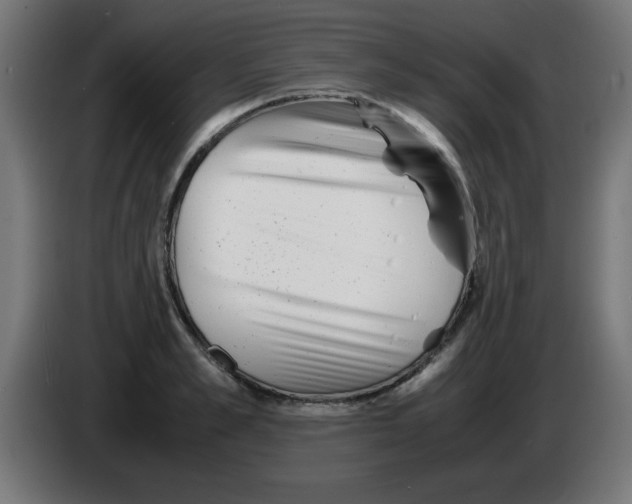 X0000083030989200703022022