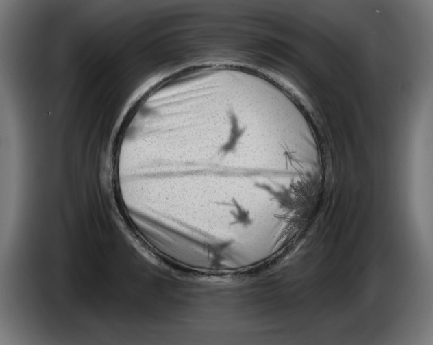 X0000083030990200703022022