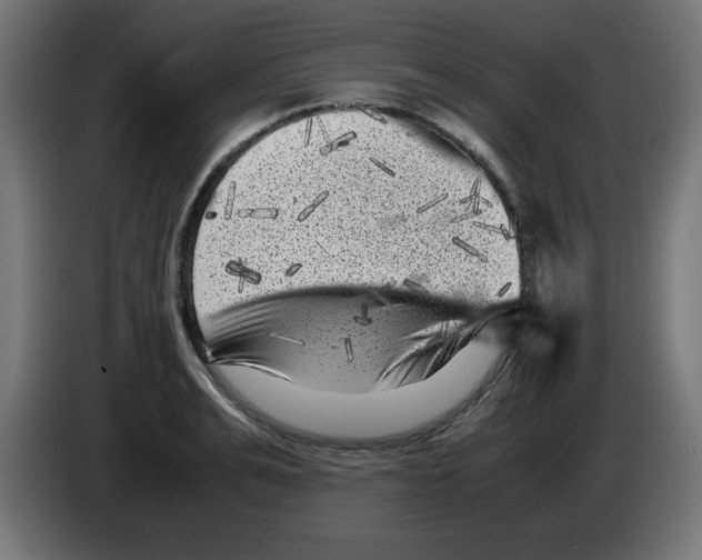 X0000083030991200703022022