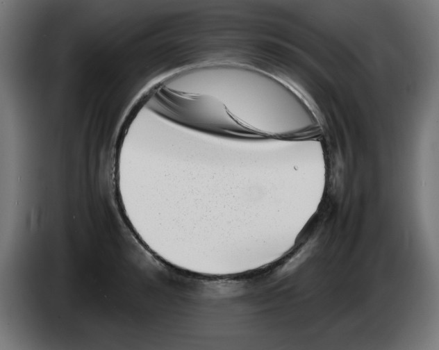 X0000083030992200703022022