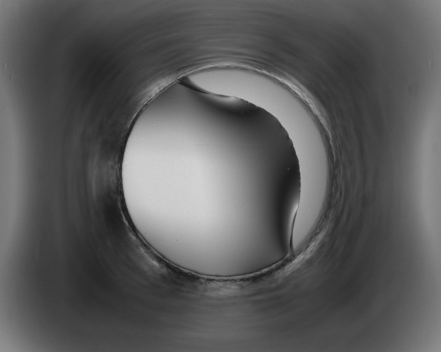 X0000083030993200703022022