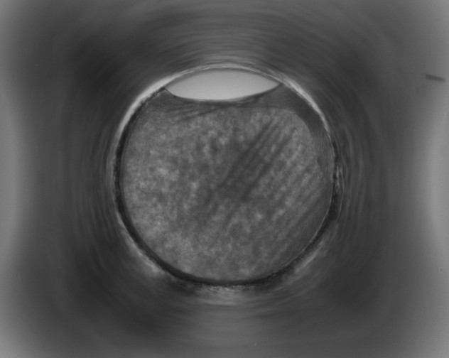 X0000083030995200703022022