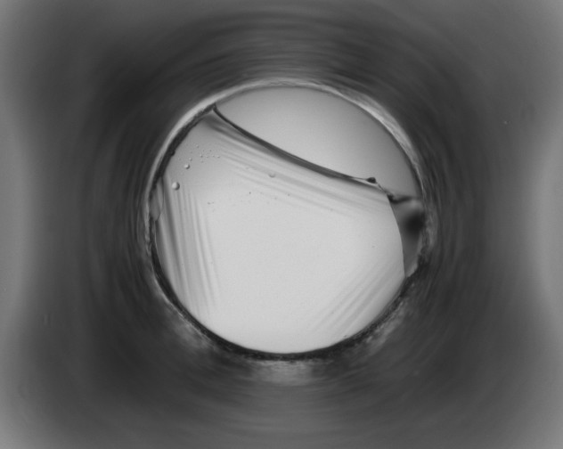 X0000083030996200703022022