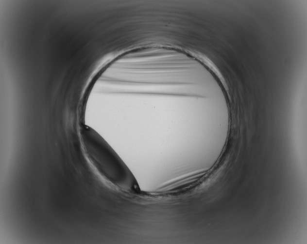 X0000083030997200703022022