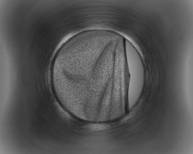 X0000083030998200703022022