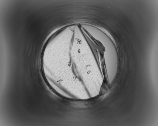 X0000083030999200703022022