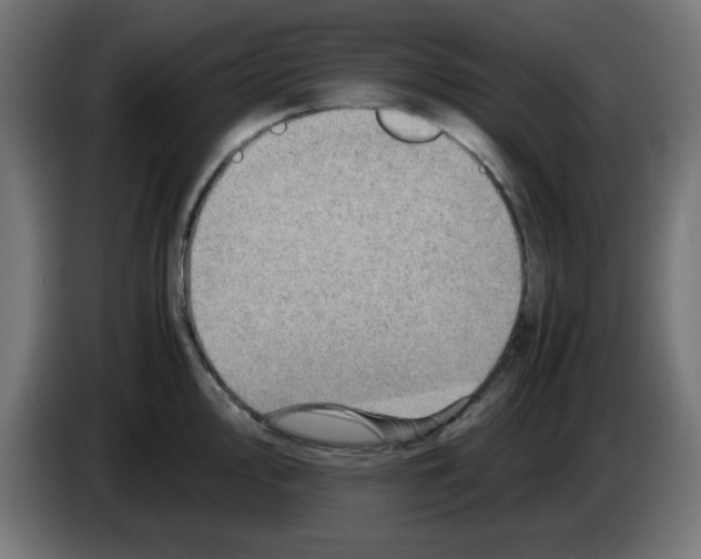 X0000083031000200703022022