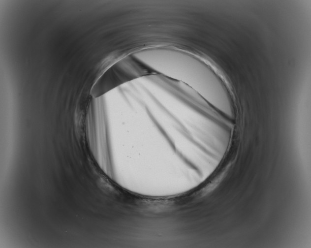 X0000083031001200703022022