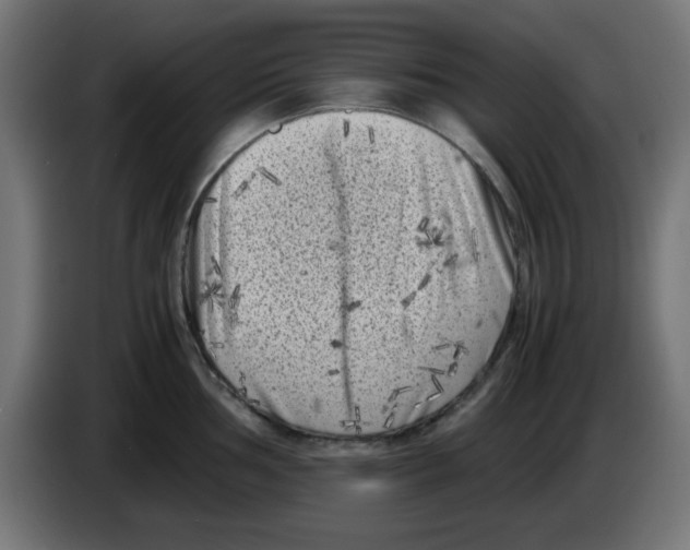 X0000083031002200703022022