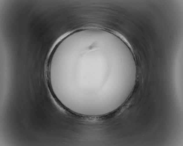 X0000083031003200703022022