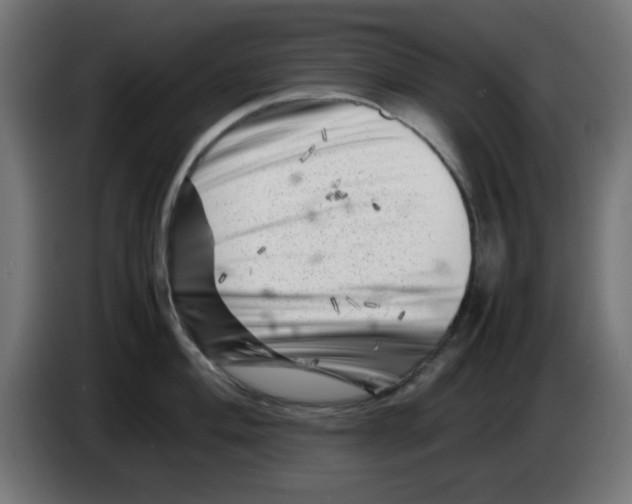 X0000083031004200703022022