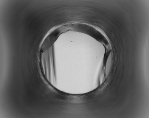 X0000083031005200703022022