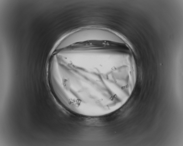 X0000083031006200703022022