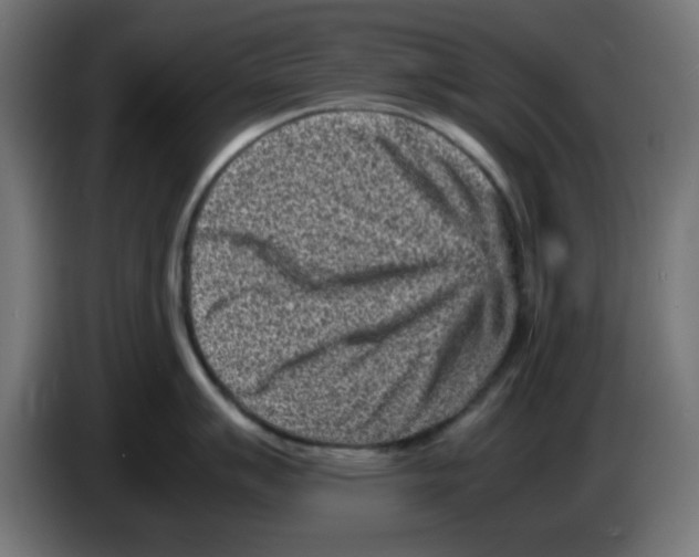 X0000083031007200703022022