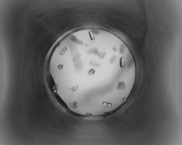 X0000083031008200703022022