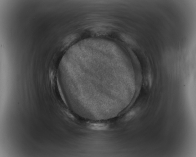 X0000083031010200703022021