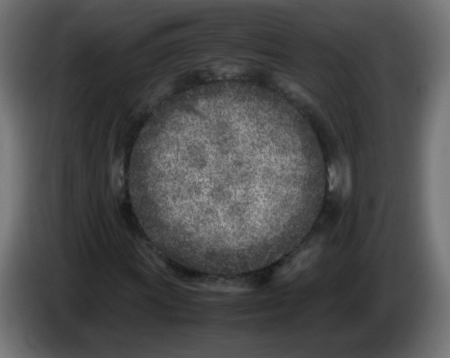 X0000083031011200703022021