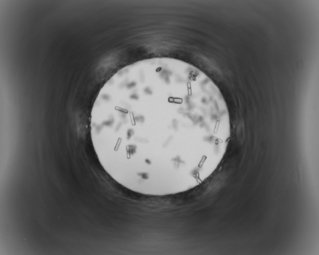 X0000083031012200703022021