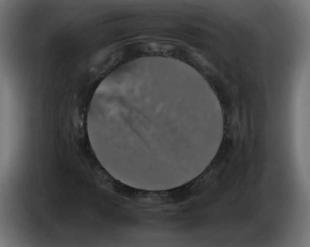 X0000083031013200703022021