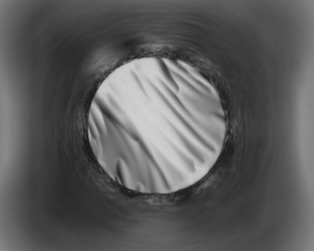 X0000083031014200703022021