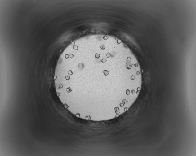 X0000083031015200703022021