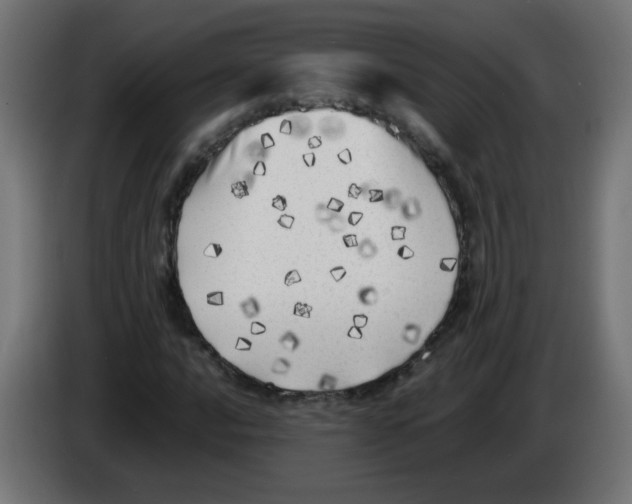 X0000083031016200703022021