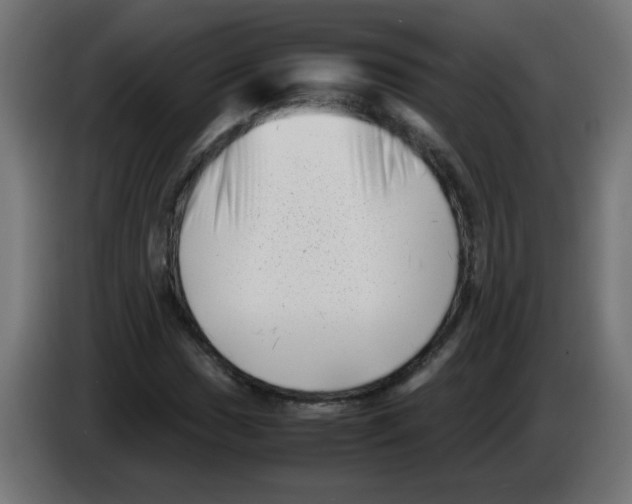 X0000083031017200703022021