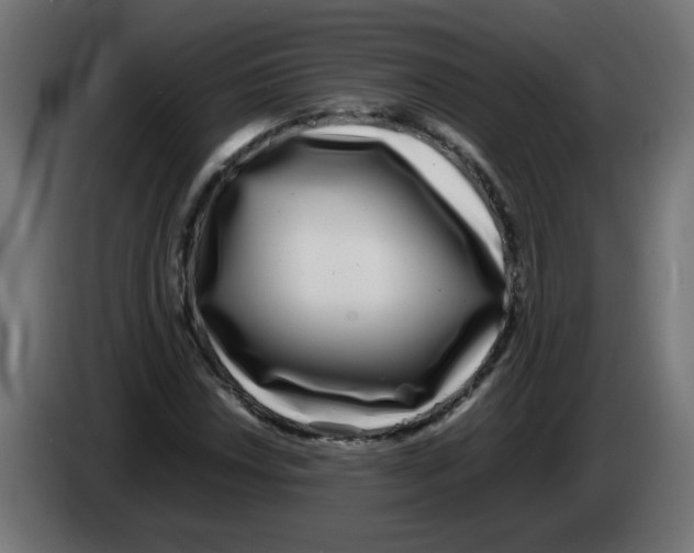 X0000083031018200703022021