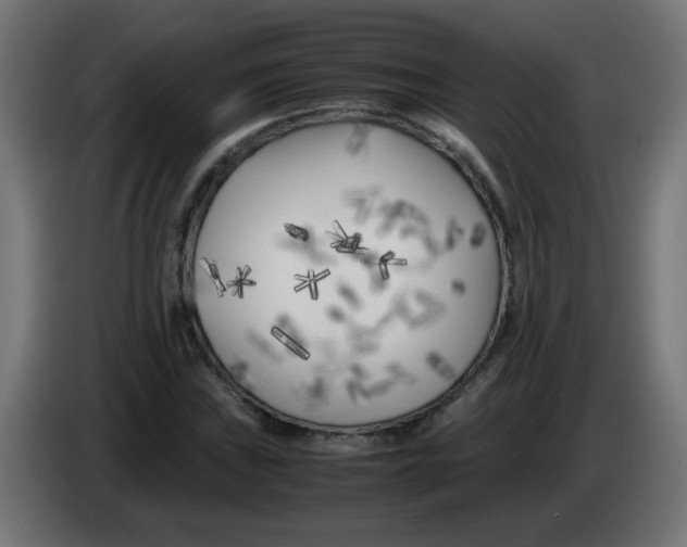 X0000083031019200703022021