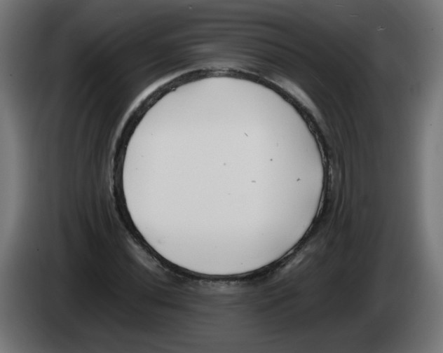 X0000083031020200703022021