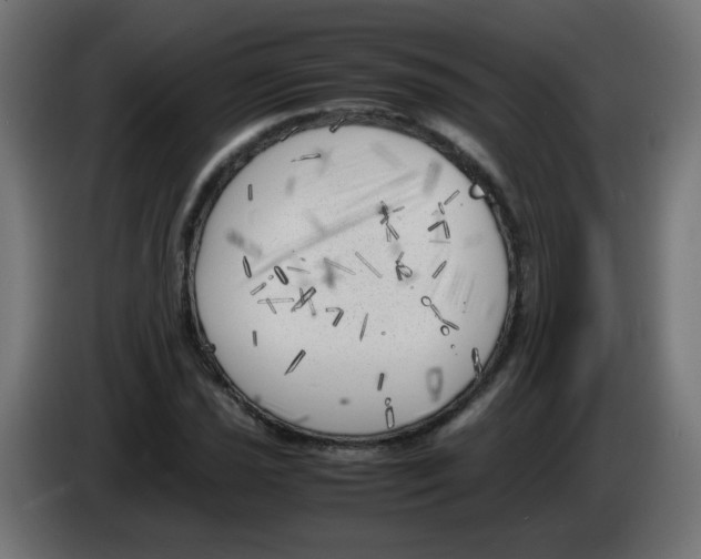 X0000083031021200703022021