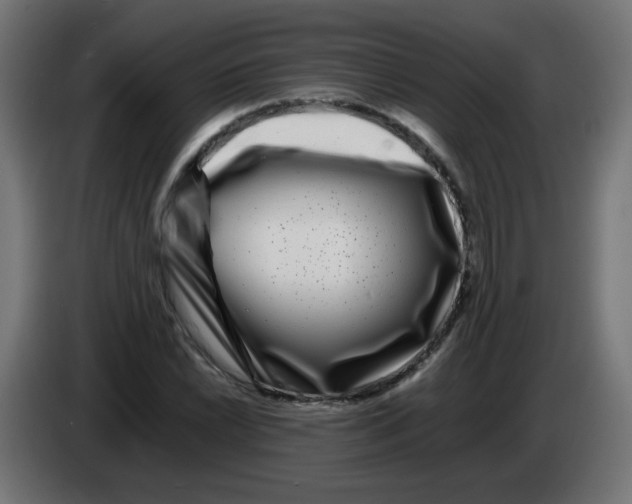 X0000083031022200703022021