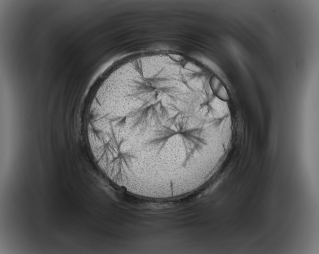 X0000083031023200703022021