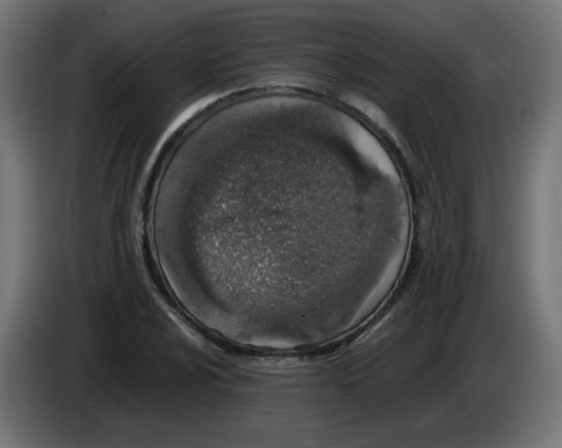 X0000083031024200703022021