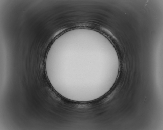 X0000083031025200703022021